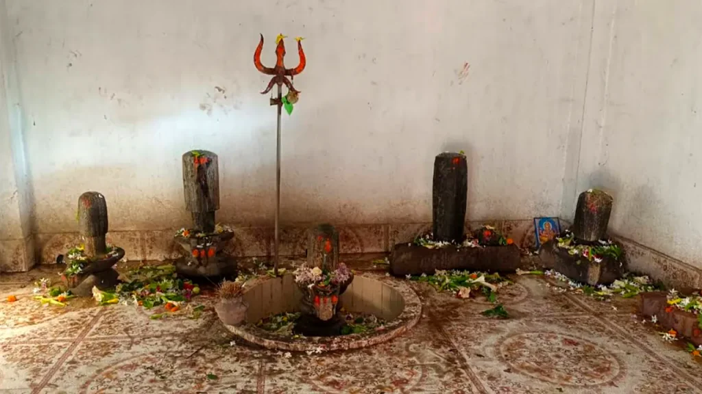 Shiv Lings at Shree Kiriteswari Shaktipeeth Temple