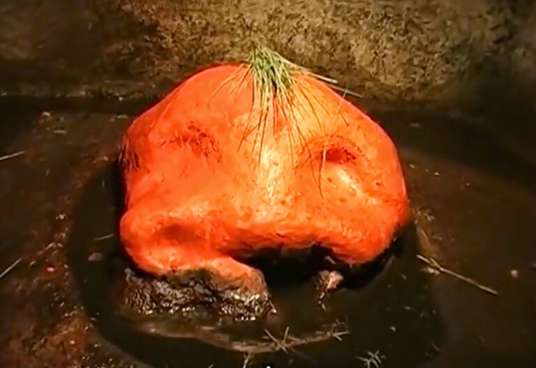 Trikut Ganesh Temple