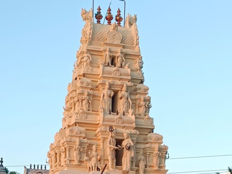 Kuchanur Saneeswaran Temple Swayambu Idol
