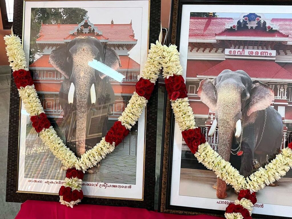 Thiruvambadi Temple elephants