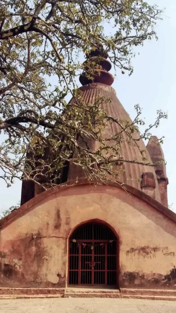 History of Sri Devi Dol Temple