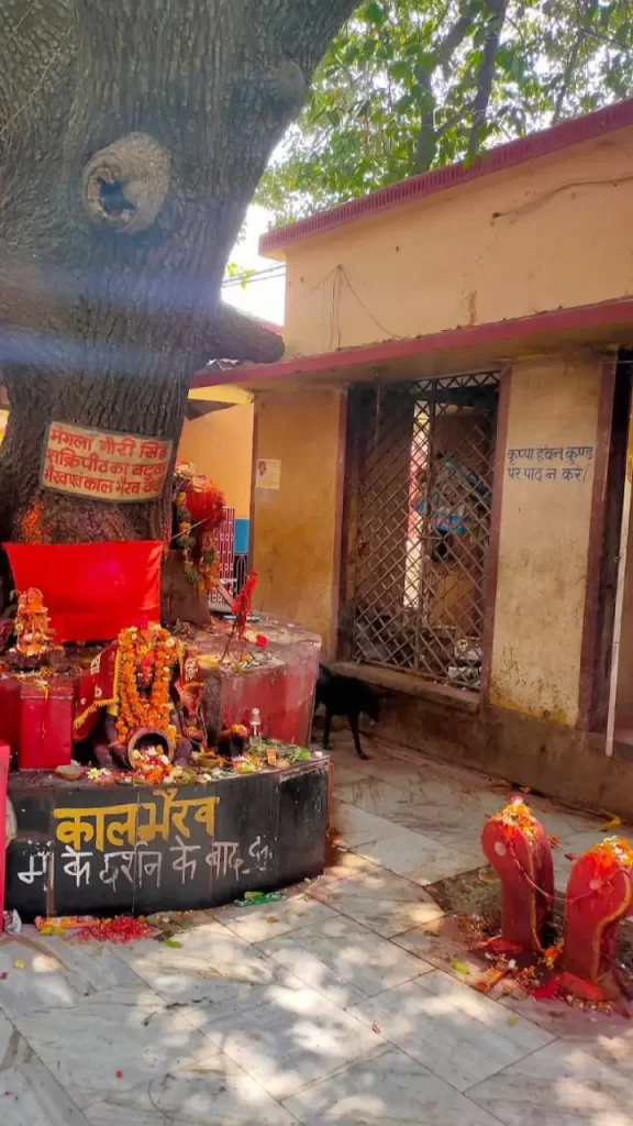 mangla gauri temple opening time