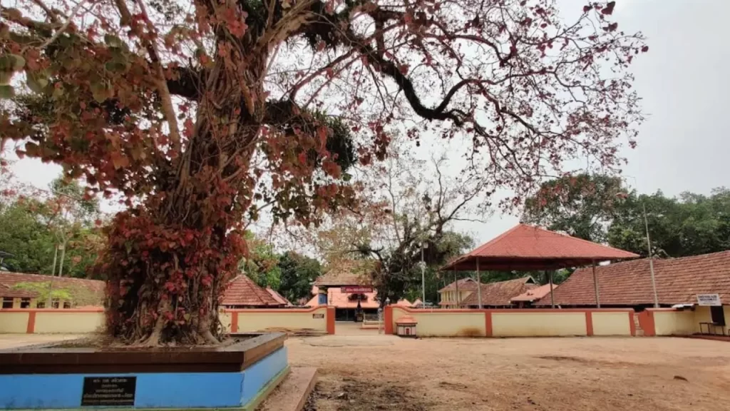 how to reach thiruvizha mahadeva temple
