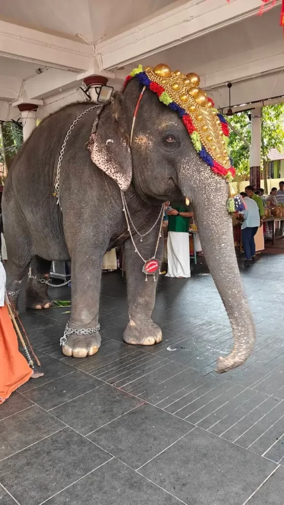 sree udiyanoor devi temple photos
