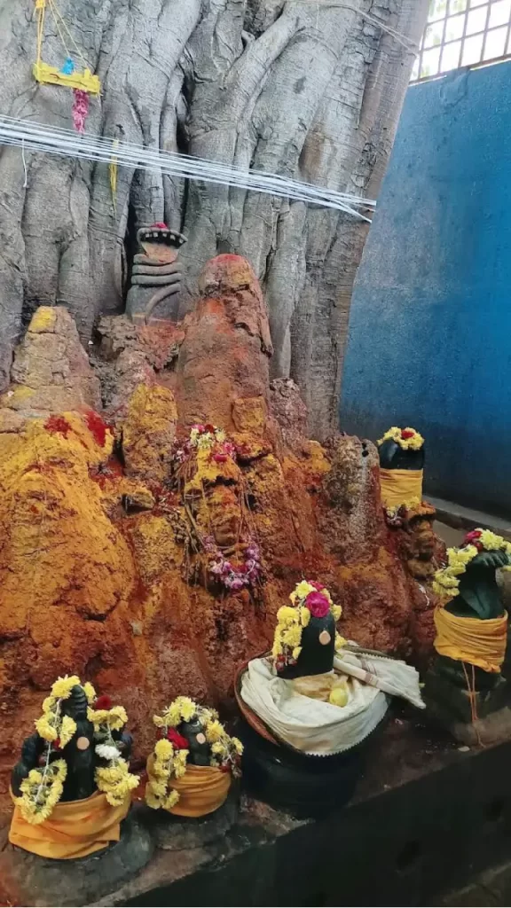 garbarakshambigai temple photos
