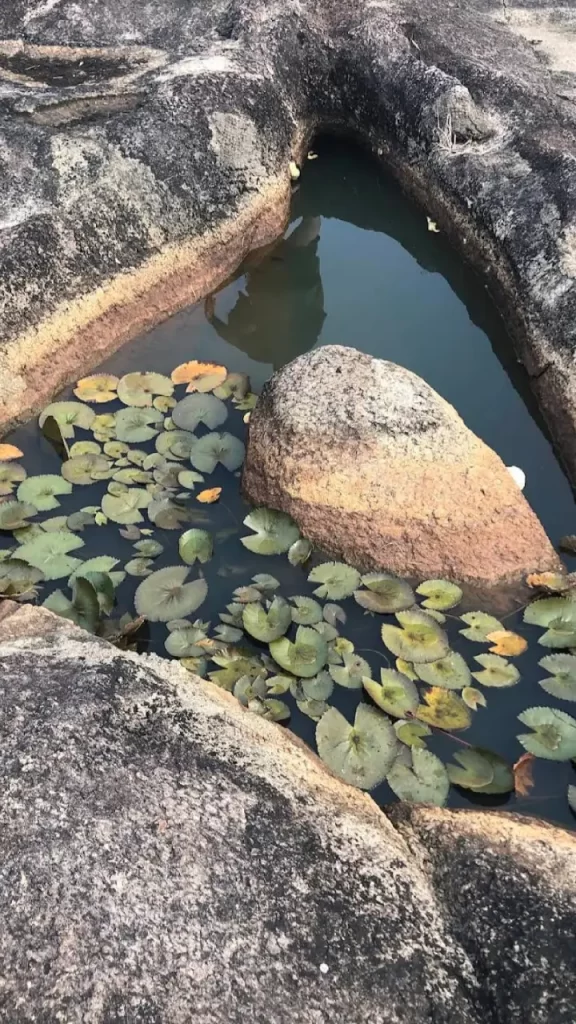 Kalluthipara Temple History