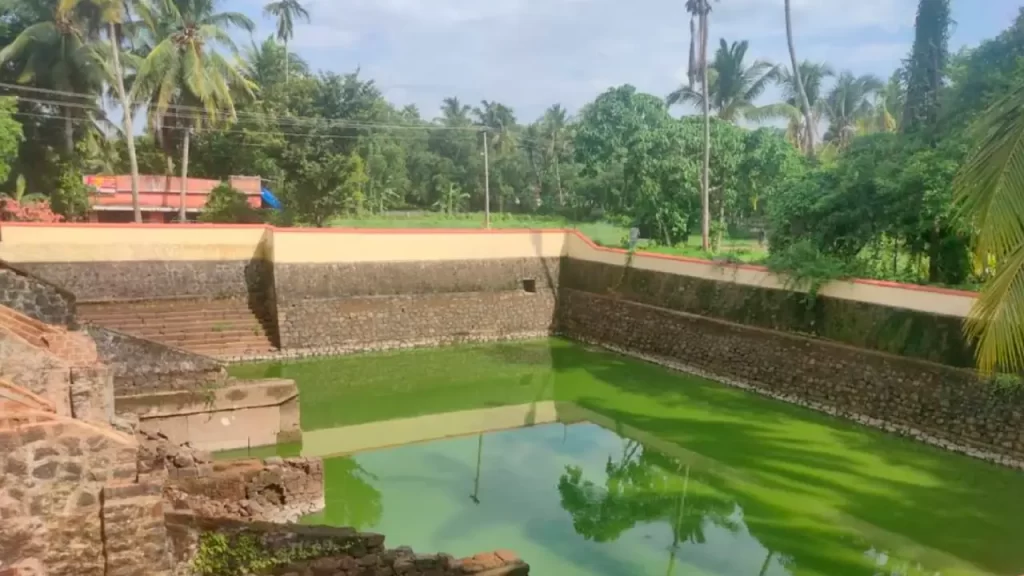 nelluvaya sree dhanwanthari temple timings
