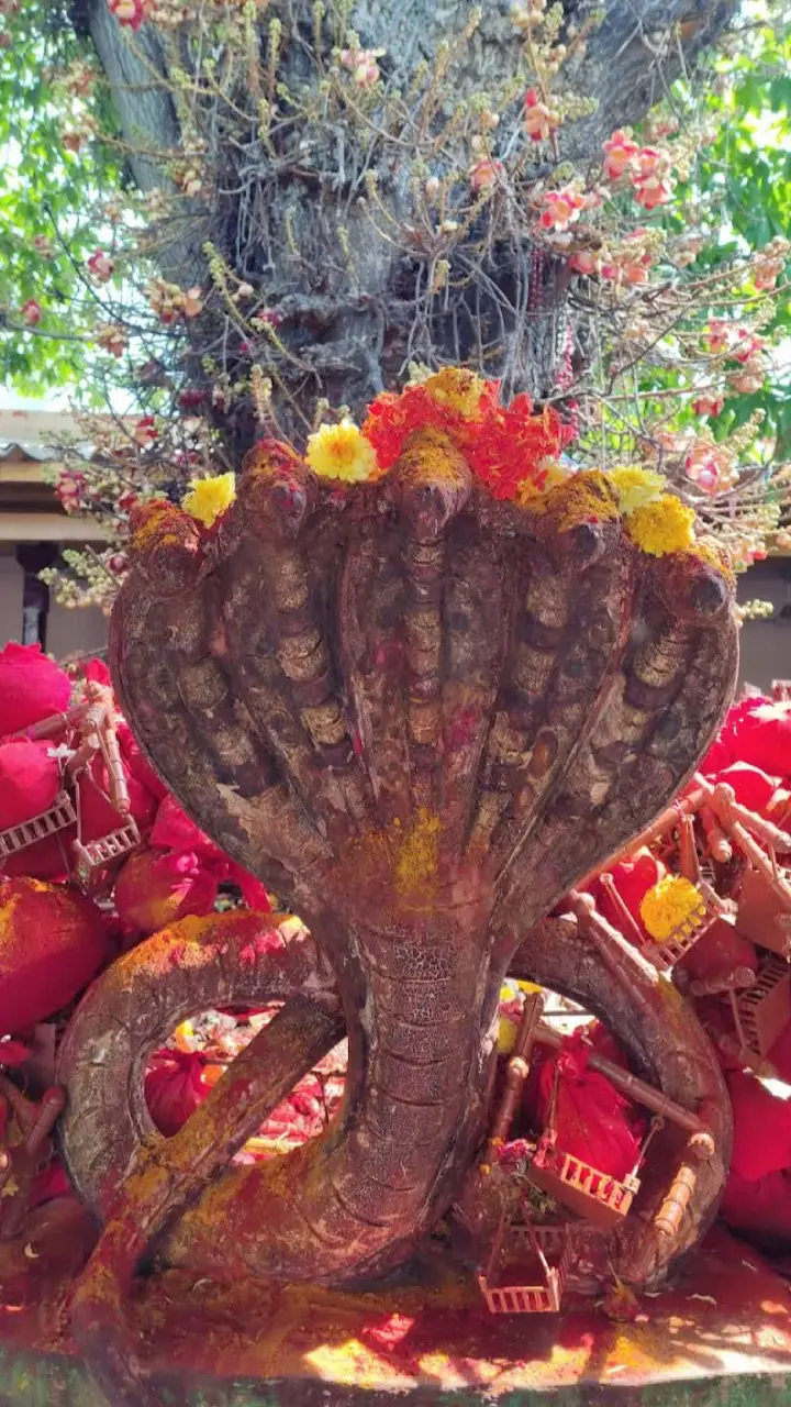 sri subramanyeswara swamy temple mopidevi photos