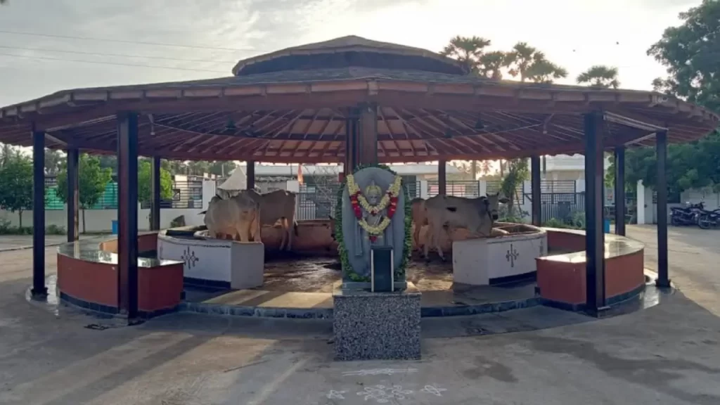 Dokiparru Venkateswara Swamy temple timings