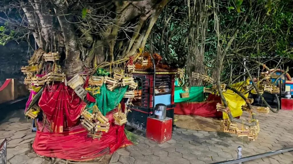 azhimala shiva temple distance
