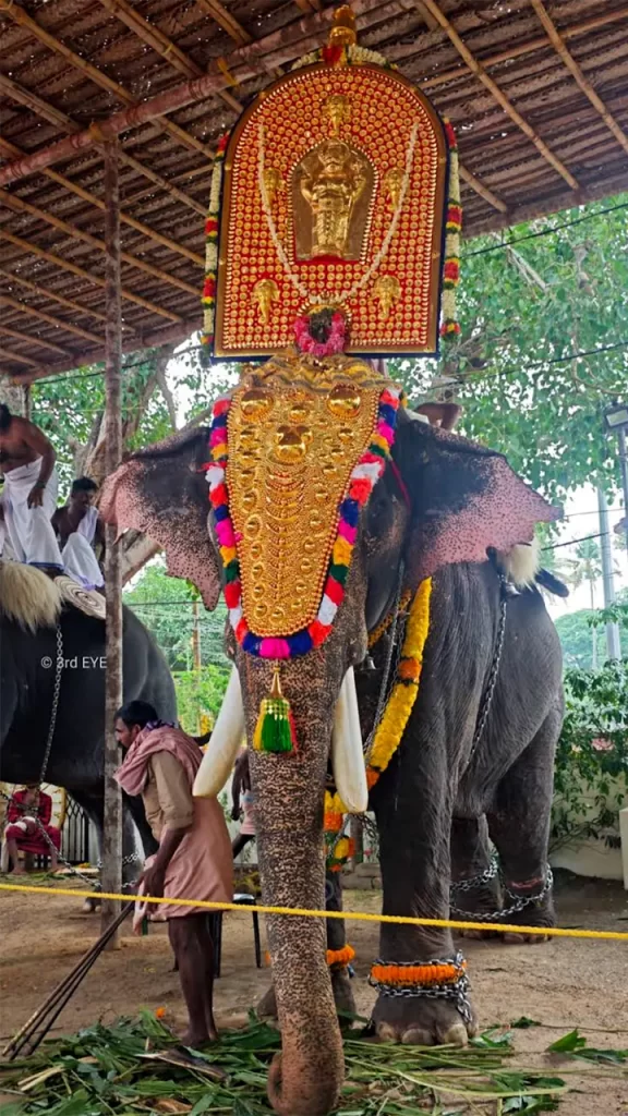 How to reach Payammal Shatrughna Temple 