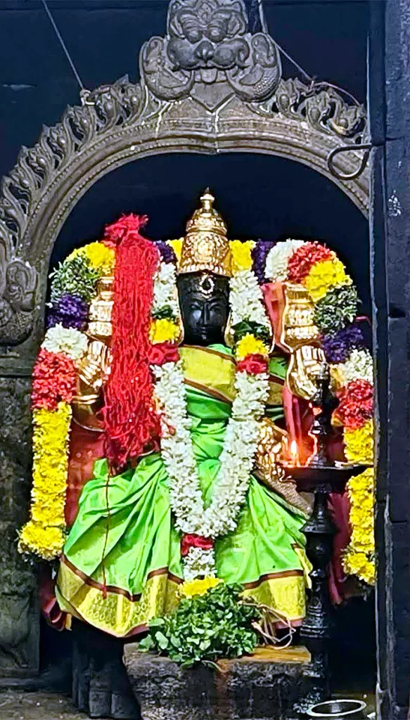 Goddess Mahalakshmi green silk saree flower garlands Nainamalai Temple Namakkal
