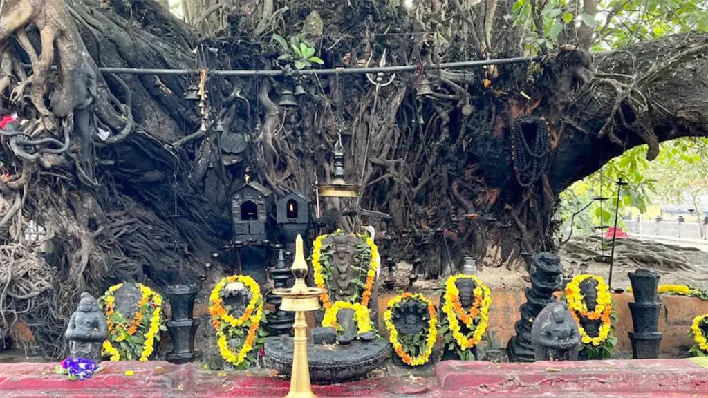 Idols and diya placed at open roof tree.